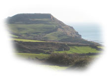 Part of our glorious Devon coastline